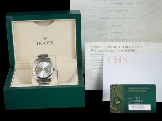 Rolex Oyster Perpetual 41 Silver - Rolex Guarantee   Watch  124300